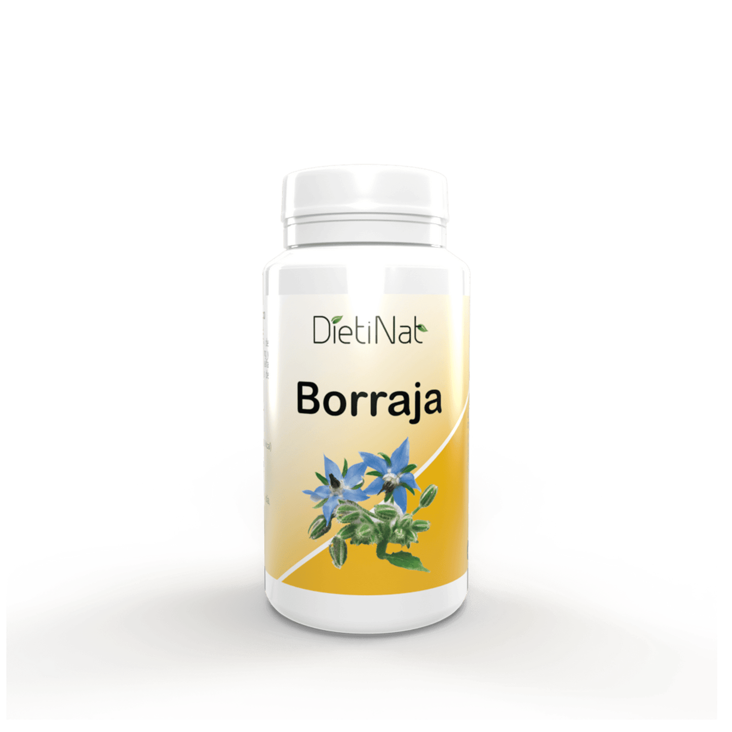 Borragem