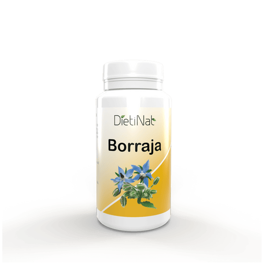 Borragem